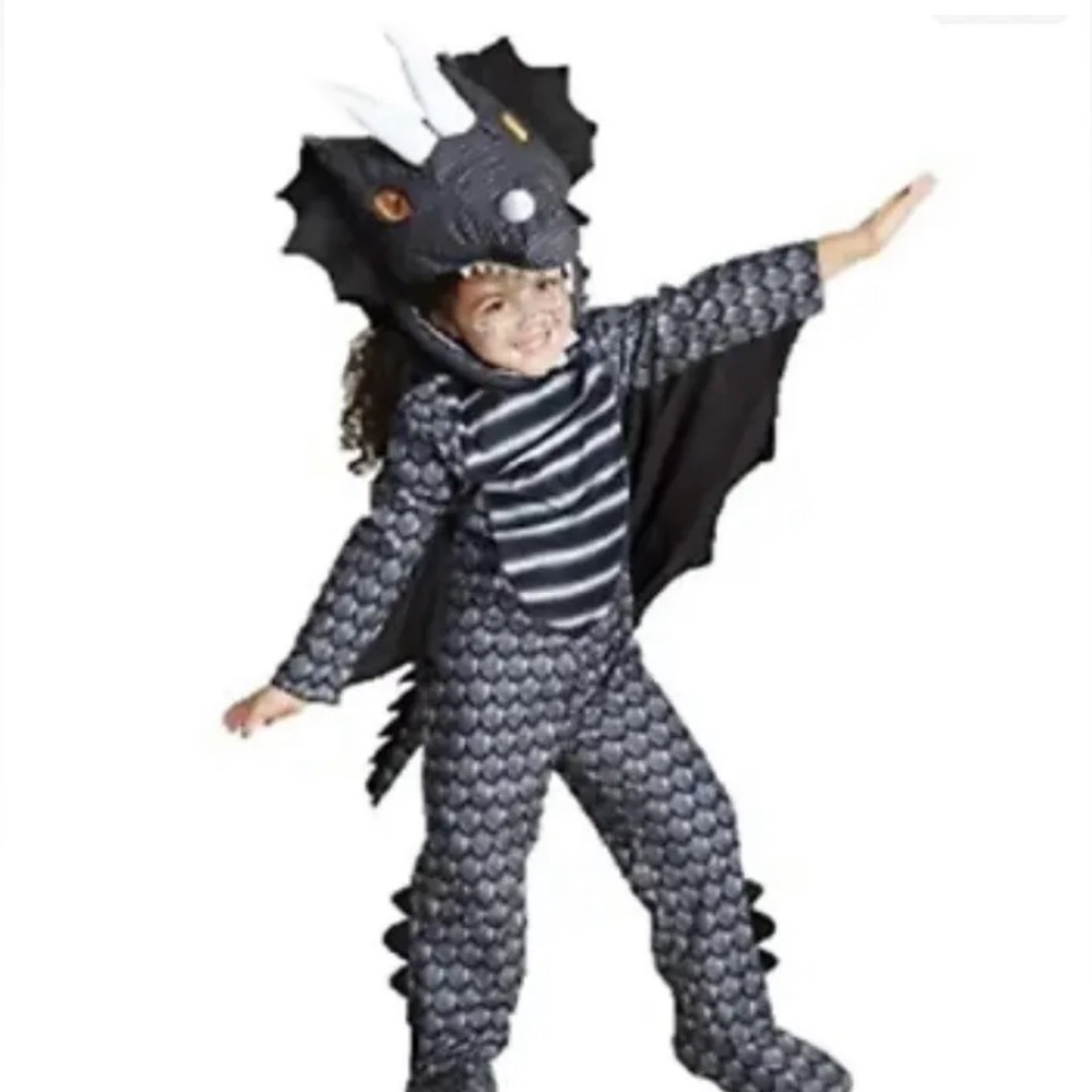 Dragon Halloween Costume Toddler Size 4T-5T